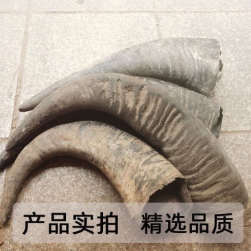 水牛角中药材冷背水牛角丝正品保证康养斋中药材
