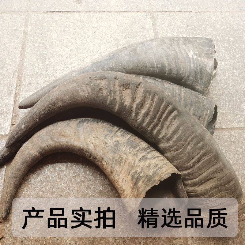 水牛角中药材冷背水牛角丝正品保证康养斋中药材