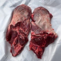 （牛小脸肉）规格50斤冻品大块牛肉牛小脸肉