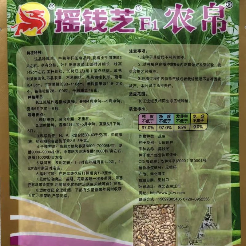 宝塔一号白芝麻种子高产浓香抗倒伏耐裂芝麻种子抗病春夏播芝