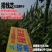 宝塔一号白芝麻种子高产浓香抗倒伏耐裂芝麻种子抗病春夏播芝