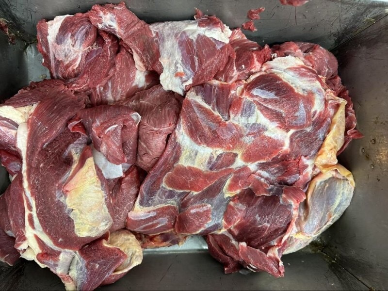 （牛前肉）规格50斤冻品大块牛肉牛前肉