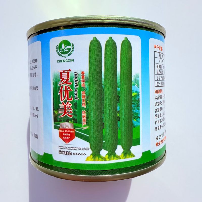 夏优美早熟强雌长丝瓜种子生长快瓜条顺直瓜翠绿色肉质硬耐热