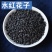 水红花子中药材冷背正品水红花子干净无杂康养斋中药材