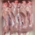 新鲜兔子肉散养兔子现杀不泡水真空包装速冻发货