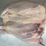 （牛前腱）规格50斤冻品大块牛肉牛前腱