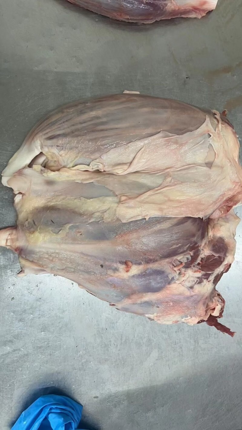 （牛前腱）规格50斤冻品大块牛肉牛前腱