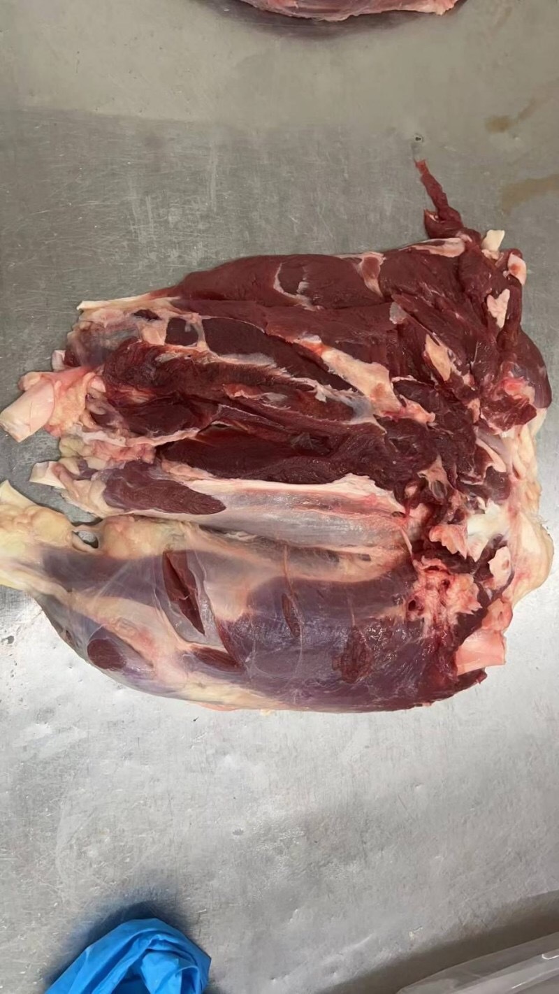 （牛前腱）规格50斤冻品大块牛肉牛前腱