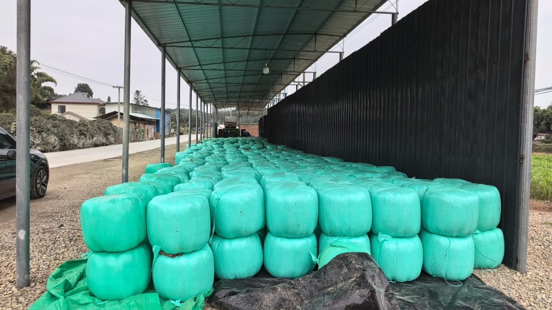 优质发酵饲草牛羊猪鸡鹅养殖场动物园家畜喂养