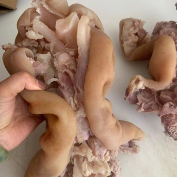 （熟牛蹄）规格50斤冻品熟食熟牛蹄