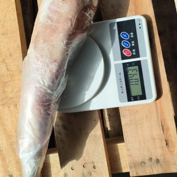 （小牛舌）规格50斤冻品牛舌小牛舌牛口条