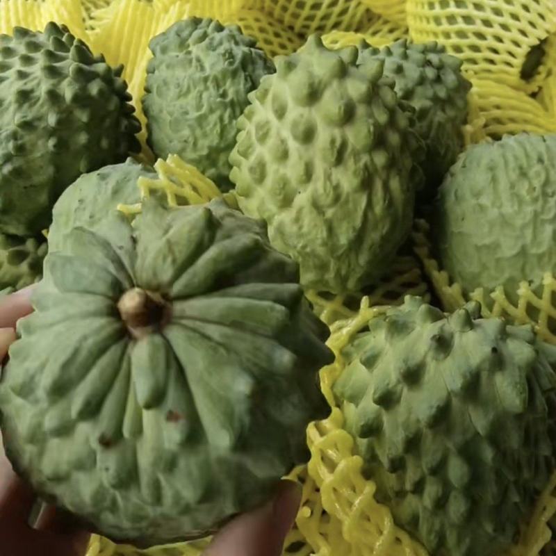 释迦果