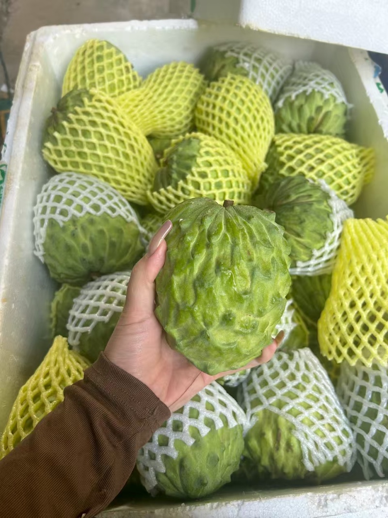 释迦果