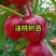 果园直发桃树苗早熟金硕超油一号曙光油桃保真品种成活率