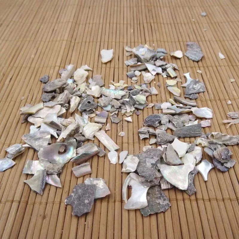 石决明中药材冷背正品石决明无硫***自然晒干鲍鱼壳
