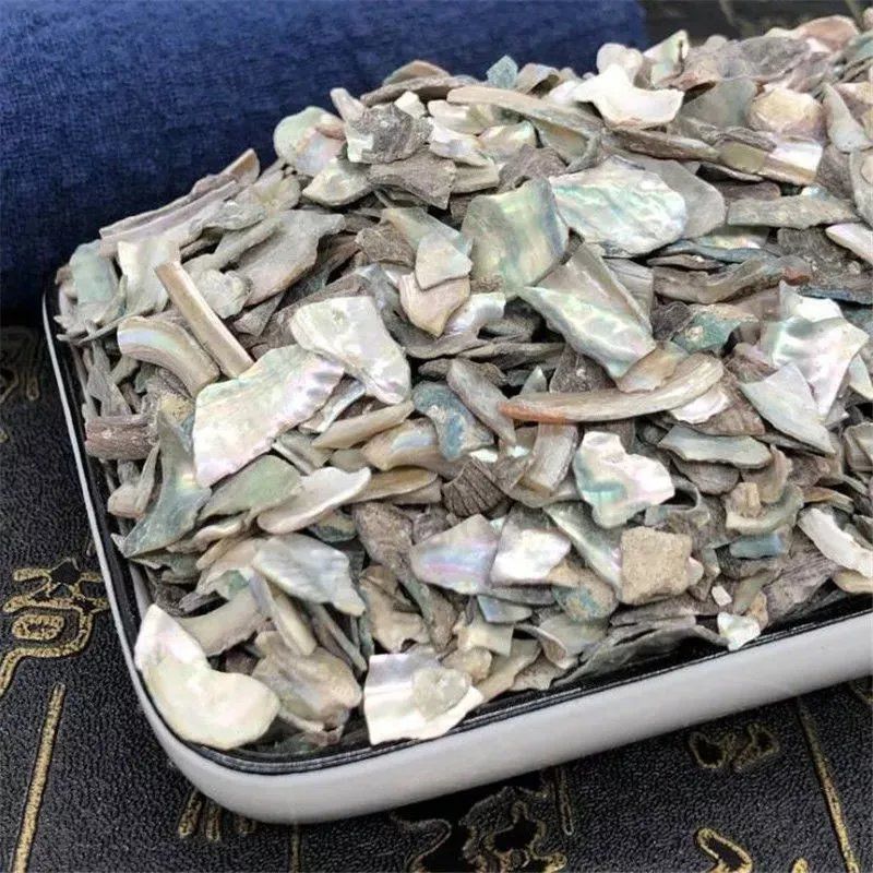 石决明中药材冷背正品石决明无硫***自然晒干鲍鱼壳