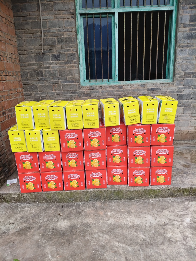 正宗奉节脐橙（福本品种，圆红品种，长虹品种，纽荷尔品种）