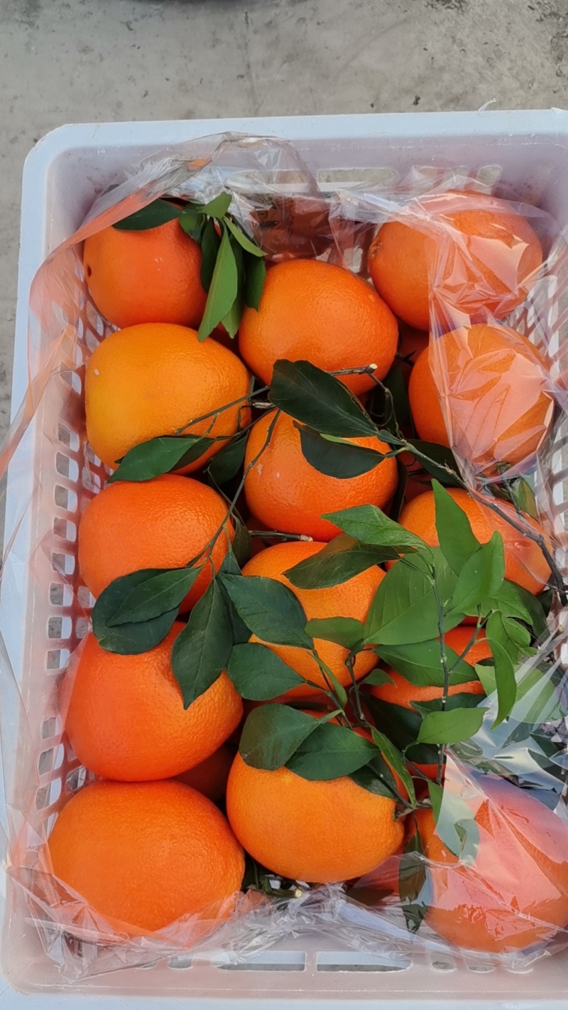 湖北纽荷尔纯甜无酸电商，社区，市场，出口外贸加工包装