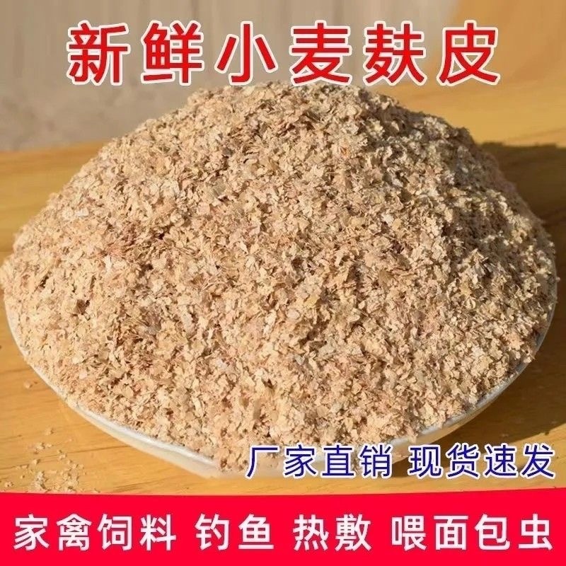 麦麸皮新鲜小麦麸子饲料粗细牛羊热敷鸡鸭面包粉虫钓鱼打窝