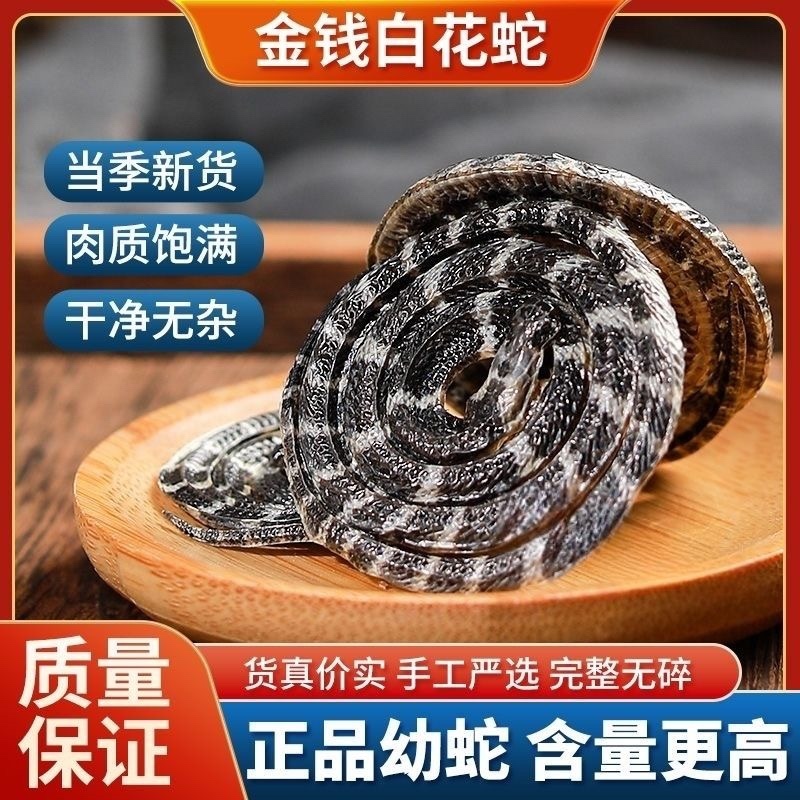 金钱白花蛇正品中药材