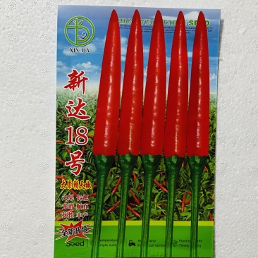 新达18号朝天椒种子小米椒种子