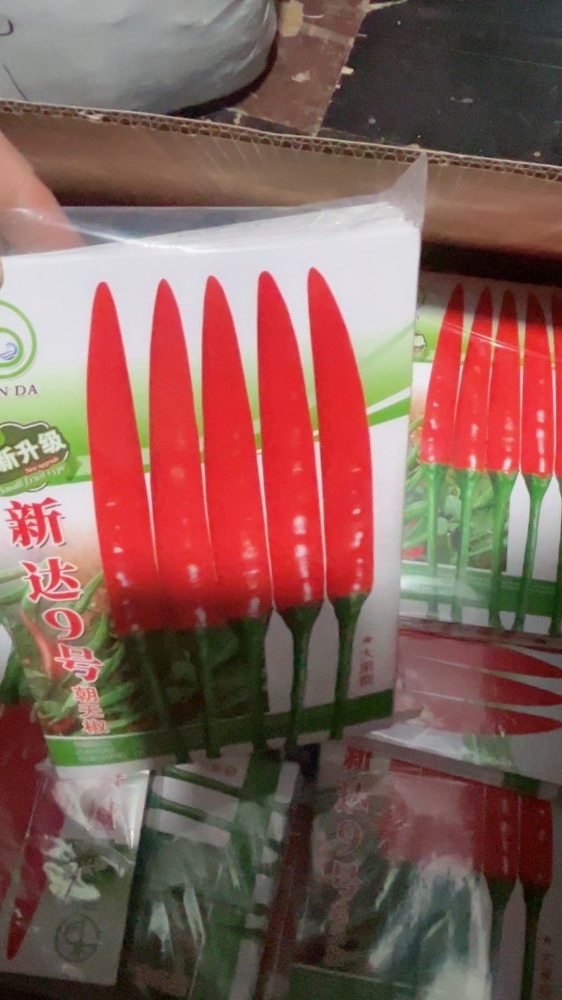 新达18号朝天椒种子小米椒种子