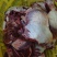 【牛大脸肉】冻牛头缓化剔下来的二次加工产品！一件起发货！