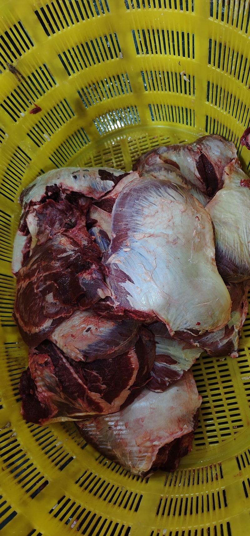 【牛大脸肉】冻牛头缓化剔下来的二次加工产品！一件起发货！