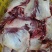 【牛大脸肉】冻牛头缓化剔下来的二次加工产品！一件起发货！
