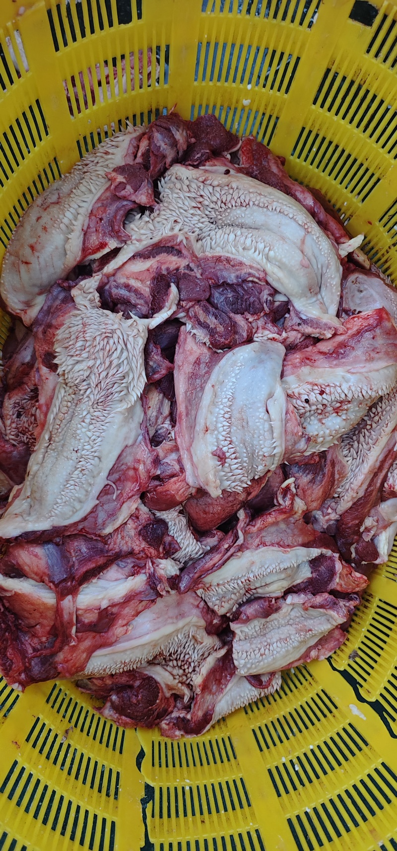 【牛腮肉】冻牛头缓化剔下来的嘴叉子，二次加工产品，纯干货
