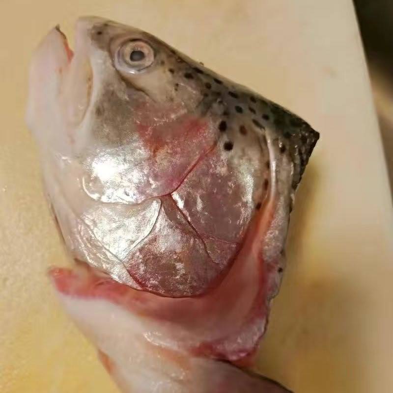 海水虹鳟鱼头