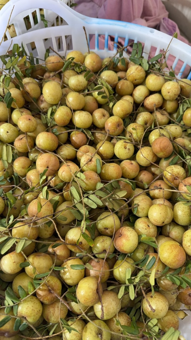 潮汕油甘果