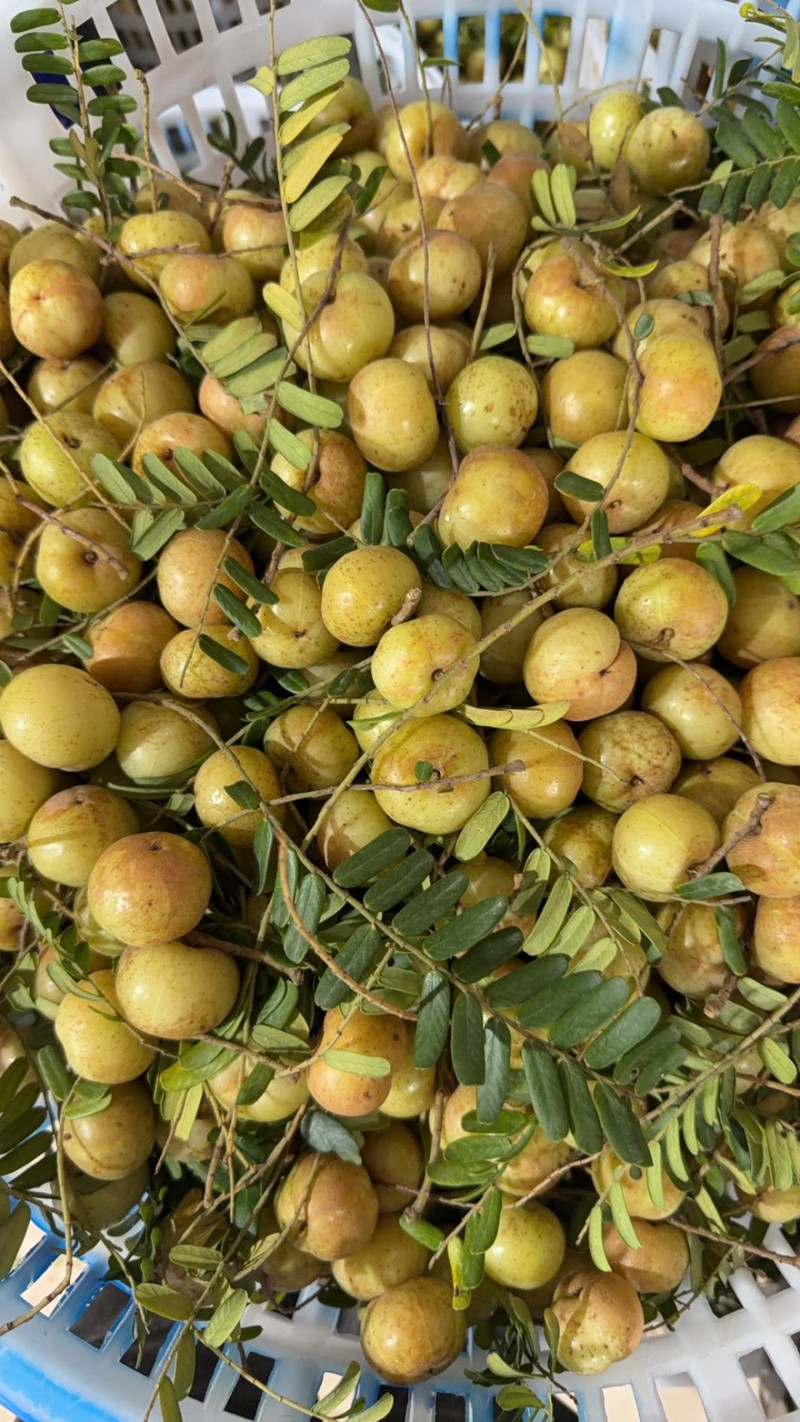 潮汕油甘果