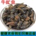 牤虫中药材牛牤虫牛苍蝇牛蚊子正品不掺蜜蜂