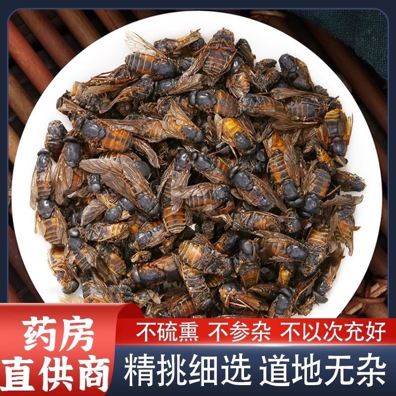 牤虫中药材牛牤虫牛苍蝇牛蚊子正品不掺蜜蜂