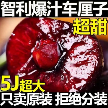 车厘子，一件代发，电商供货，达人对接