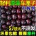 车厘子，一件代发，电商供货，达人对接