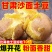 甘肃定西土豆，大土豆4-5两，支持电商一件代发