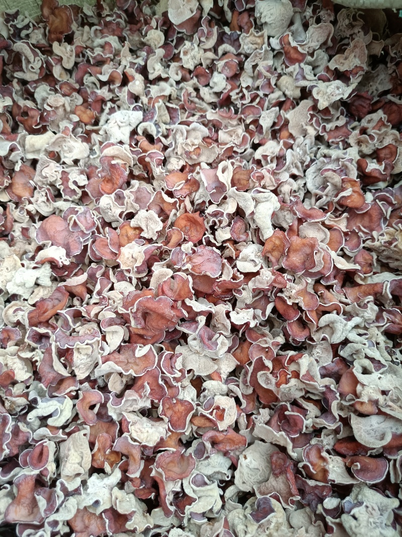 粉木耳电商用贵妃木耳粉木耳产地一手货源批发零售粉木耳产地