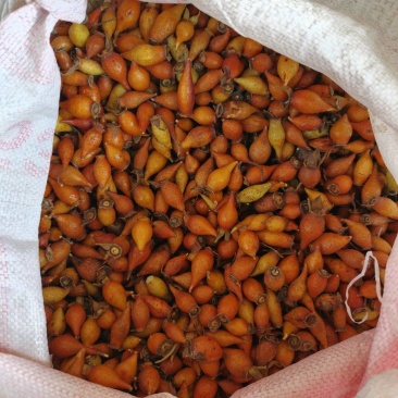 金樱子鲜货