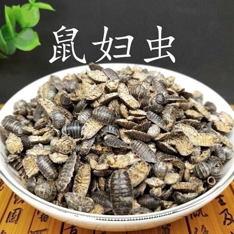 中药材鼠妇虫鼠妇虫地虱湿生虫潮虫干货