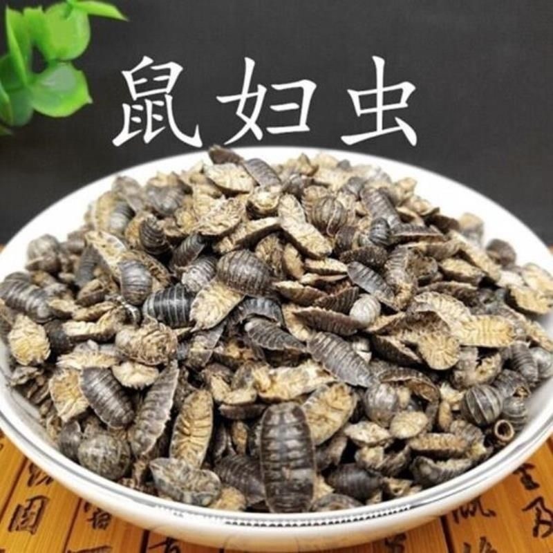 中药材鼠妇虫鼠妇虫地虱湿生虫潮虫干货