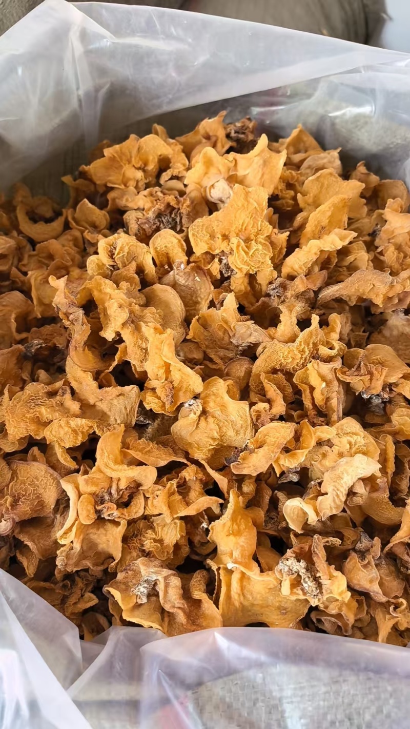 羊肚耳电商平台用羊肚耳好货足干羊肚耳自产自销羊肚耳羊肚耳