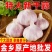 山东大蒜，当年新大蒜，坏果包赔，支持一件代发
