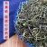 八仙草中药材猪秧秧猪殃殃新货八仙草锯子草