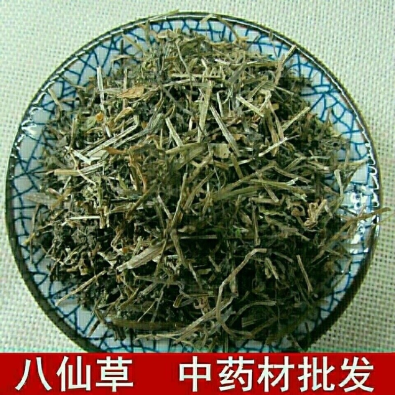 八仙草中药材猪秧秧猪殃殃新货八仙草锯子草