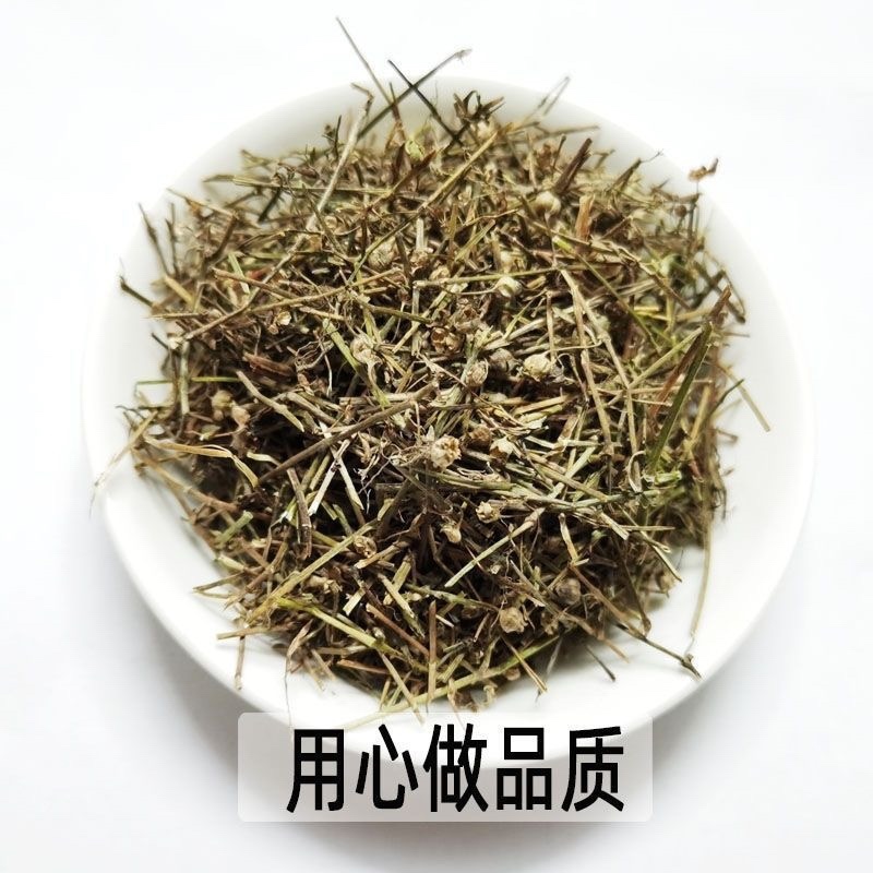 白花蛇草中药材正品白花蛇舌草干叶子蛇草茶