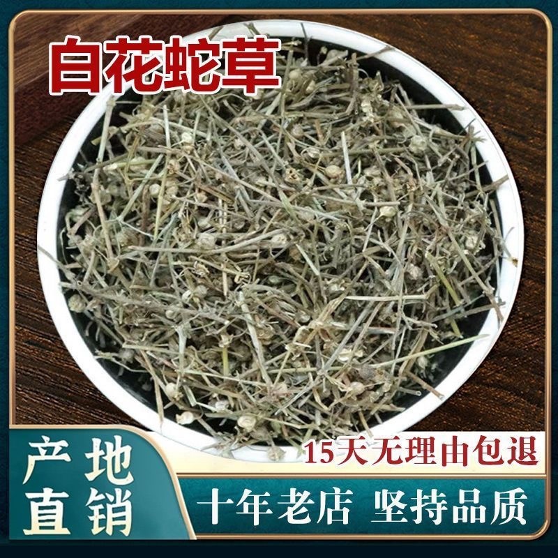白花蛇草中药材正品白花蛇舌草干叶子蛇草茶