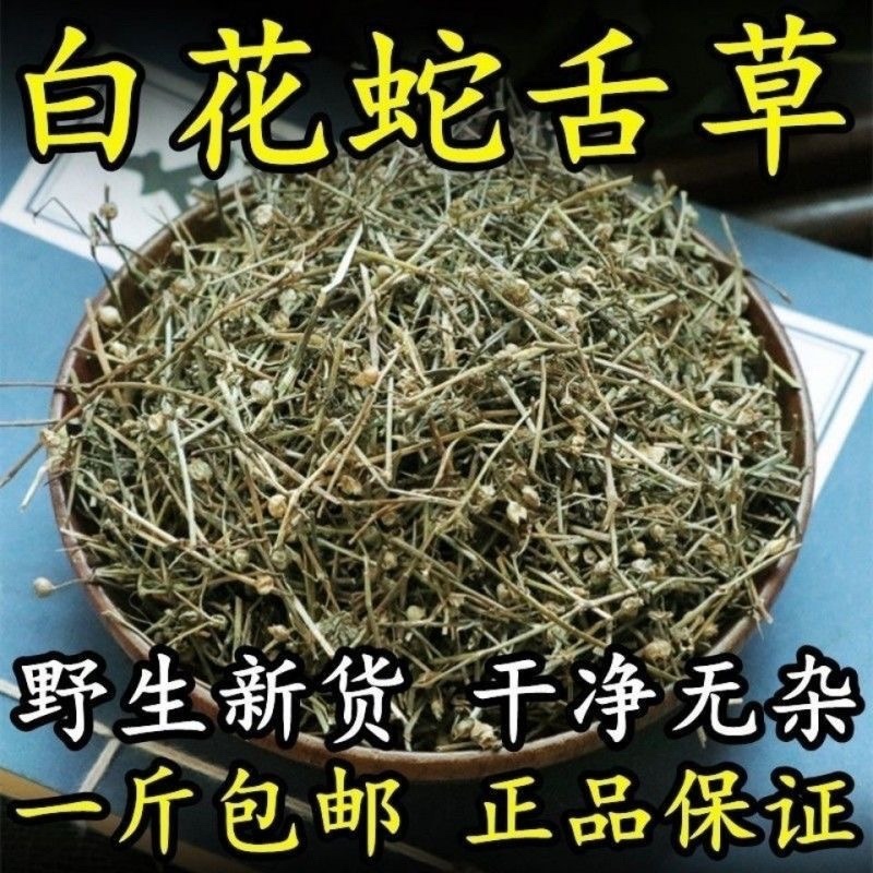 白花蛇草中药材正品白花蛇舌草干叶子蛇草茶