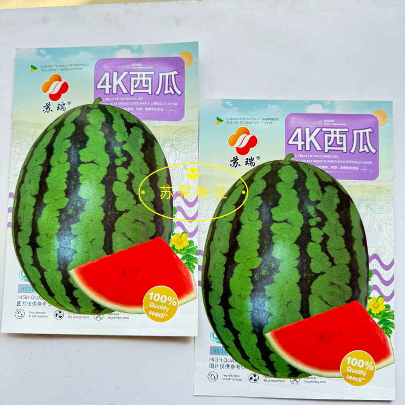 苏瑞4K西瓜种子中早熟西瓜种籽花皮椭圆硬薄皮耐贮运